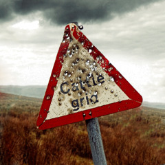 Jakprogresso - Cattle Grid (magOwl Remix)