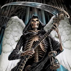 ROWDY HULL CITY-purematics