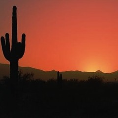 By The Morning Light