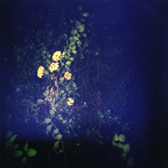 You Dropped Your Jacket