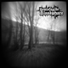 remix . lost in the forgotten lexicon of torment (bilious shards) seismo VS decanting the bloodwhore