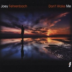 Joey Fehrenbach - Delicate