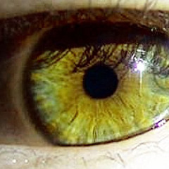 Hi-Q - Ochii Verzi 2011