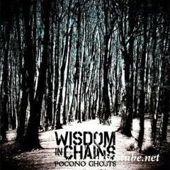Wisdom In Chains - In Case You Forgot