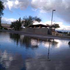 Adam Arlia live up to your life