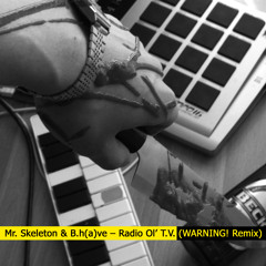 Mr. Skeleton & B.h(a)ve – Radio Ol’ T.V. (WARNING! Remix)