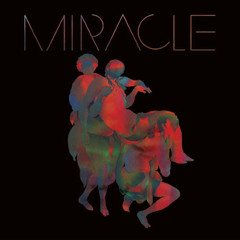 Miracle - The Visitor