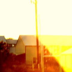 Cries from the skies