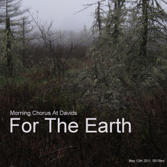 For The Earth, Morning Chorus at Davids