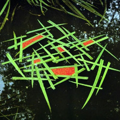 SephOner - The Oddities