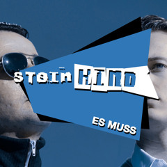 STEINKIND - Es Muss (Phil J Remix)