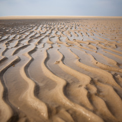 marshlands piano improvisations 1