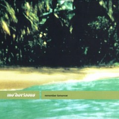 Mo'Horizons -  Salto Angel