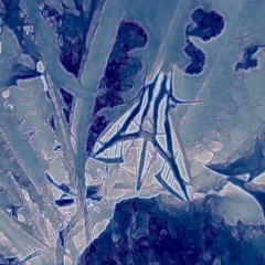 Cenizacromada - Tu fuego (Kemakumake Demo version)