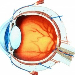 Jung Batu - Leiley ( BreakDance Beat)