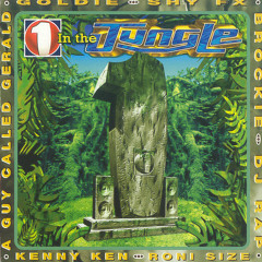 One In The Jungle - Dom and Roland - 14.02.1997