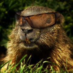 hein ! cogne i tot la marmotte ! ... hein!     "harstyle mix by jaz100non marmotek"