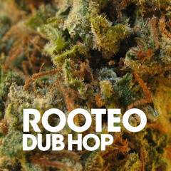 Rooteo - Dub Hop