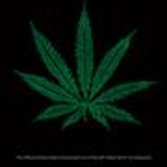 Holy Crap Gimme Some Druggz!!!