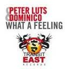 Peter Luts &amp; Dominico What a feeling 2007