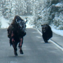 Kaneda - Catch (EP Teaser track 2)