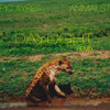 daylight-animalstatus-remix-olympic-ayres
