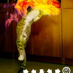 Svenska Modellagenturen - Ett slag i fejjan(Work In Progress)