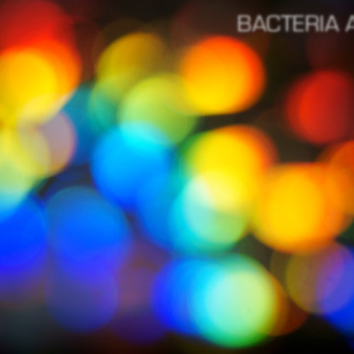 Bacteria Army