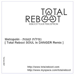 Metropolin - Nefilot Ktanot [Total Reboot SOUL In DANGER Remix]