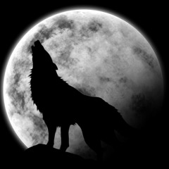 Amarok - Le chant du loup (Prod:Resch)