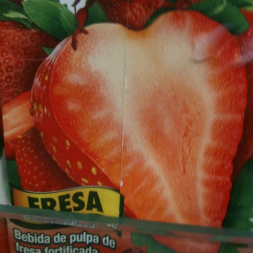 Manuel Santillán - El León (Fresa Salvaje mix)