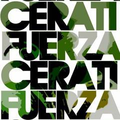 Cerebro - Gustavo Cerati en Acapulco