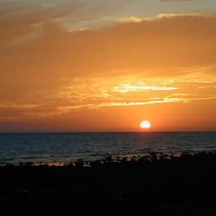 Markus Toefer - Wunsch