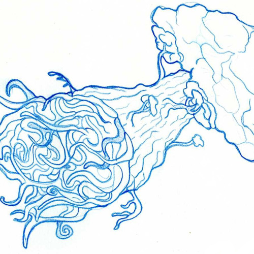 Ma Rêveuse-(Thomas Fersen Cover)