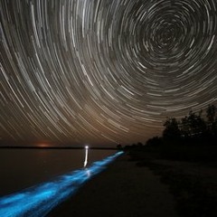 David Gilmour solo Sorrow