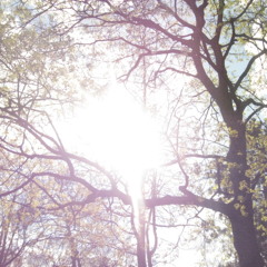 My Hands Yellow -  REALtime JERICHO