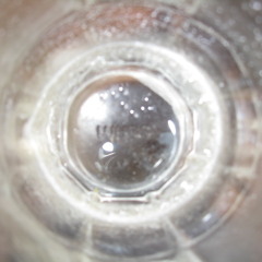 BREAKING NEWS: Fucking! -  REALtime JERICHO