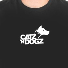 Kings Of Leon - The  Immortals (Catz 'n Dogz remix) [Snippet]