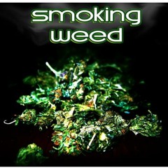 LIFE FLY - nabruliep feat sickenvenom