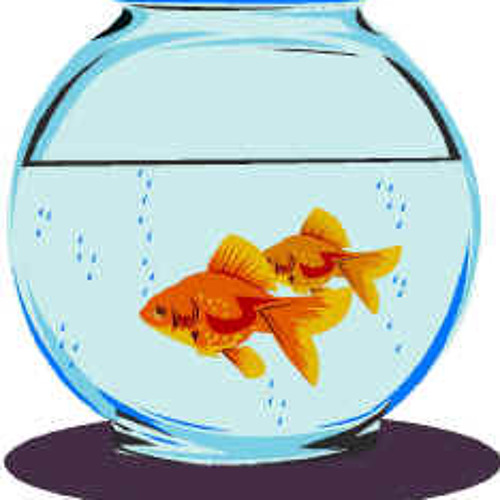 Glassfish Bowl Hentai
