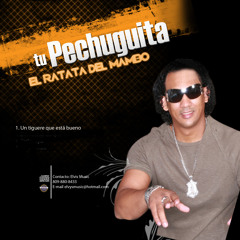 Pechuguita - Un Tiguere Que Esta Bueno-www.elcartel809.com