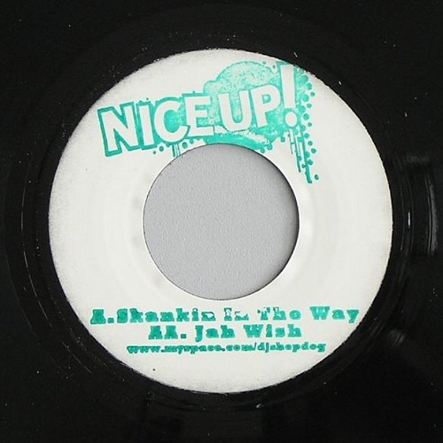Skankin In The Way Of Control DOWNLOAD IN DESCRIPTION