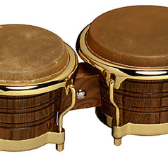 The Bongo Beat (Demo)