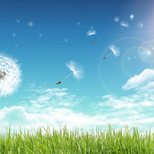 Dream Sky