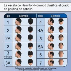 GHRI 7. Grados de Pérdida de Cabello (Escala de Calvicie de Hamilton - Norwood)