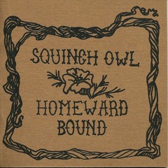 Squinch Owl - What It Is