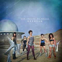 Las Amigas de Nadie - Doce pasos