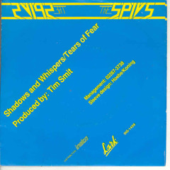 Shadows & Whispers (original mix) - The Spivs