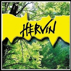 Dj Deshvin - Penne Penne (Hervin)