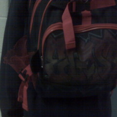 Elash diss- datbolchino